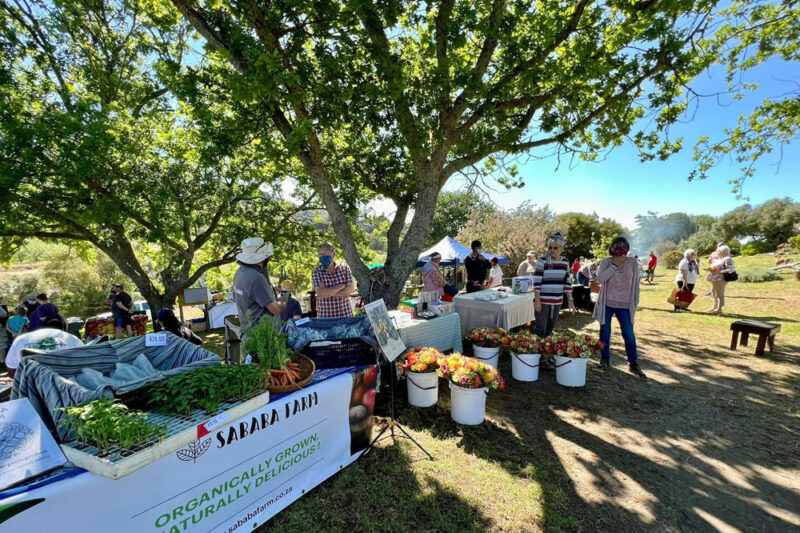 What's on - cape town markets