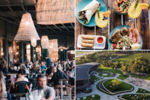 Pet-friendly markets cape town