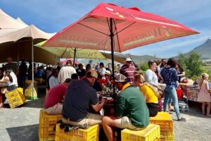 Pet-friendly markets cape town