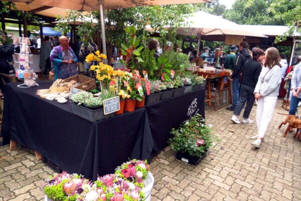 Greyton Morning Market Image 2023