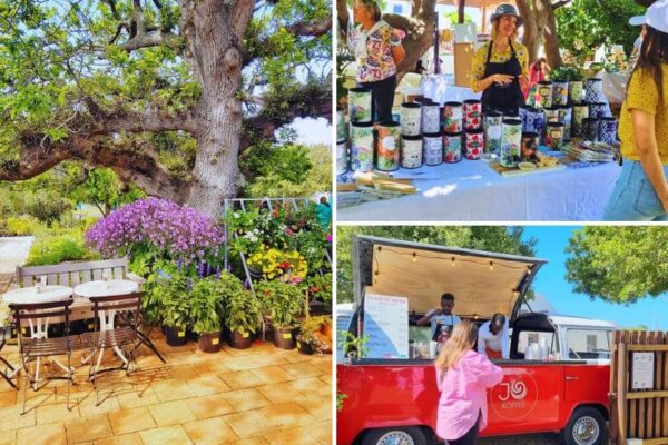 Southern suburbs markets