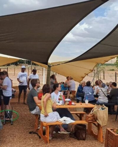 de werf market 2024