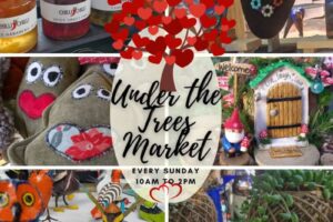 Pet-friendly markets cape town