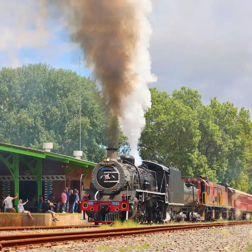 Elgin Railway Market (Elgin) 5 7 elgin railway market