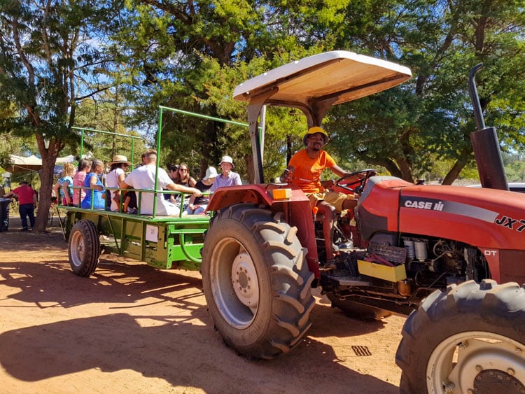 Farmers Market At Camphill Village web
