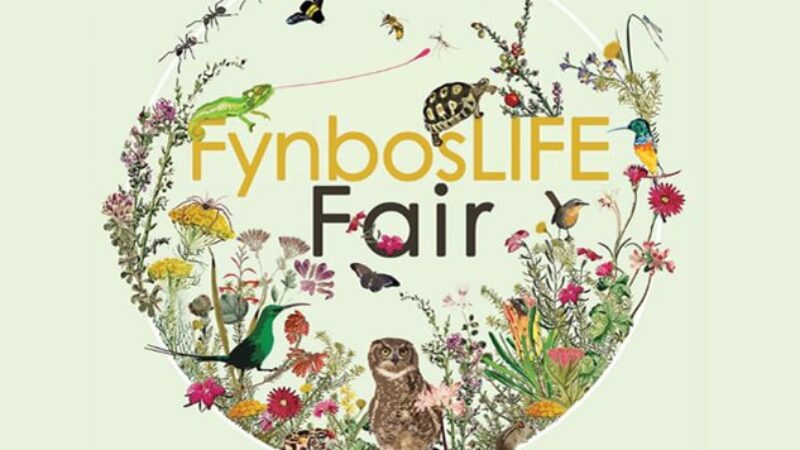 poster for fynboslife fair 2025
