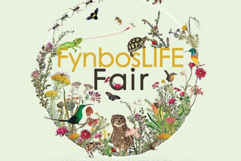 poster for fynboslife fair 2025