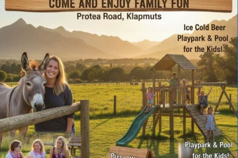 What's on - cape town markets
