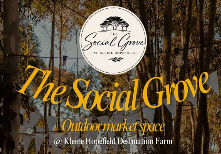 The social grove market