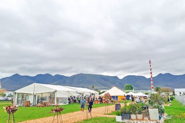 What's on - cape town markets