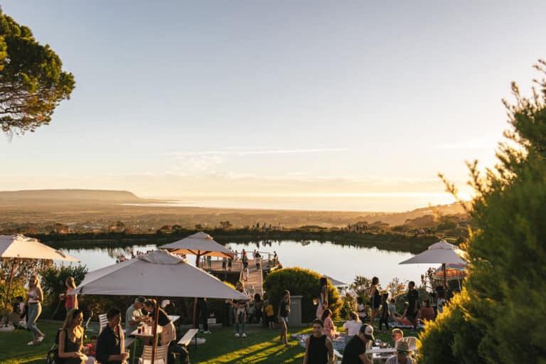 Cape point vineyards market returns for summer